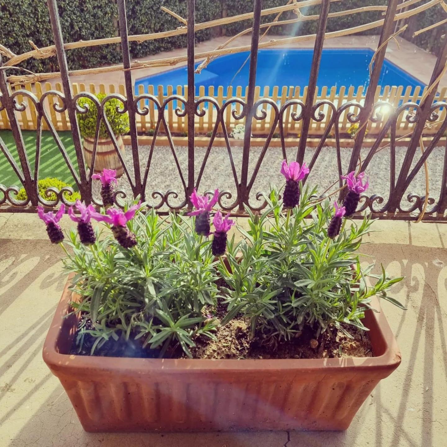 Casa Con Piscina Privada En Gualta, Can Blay Kültér fotó